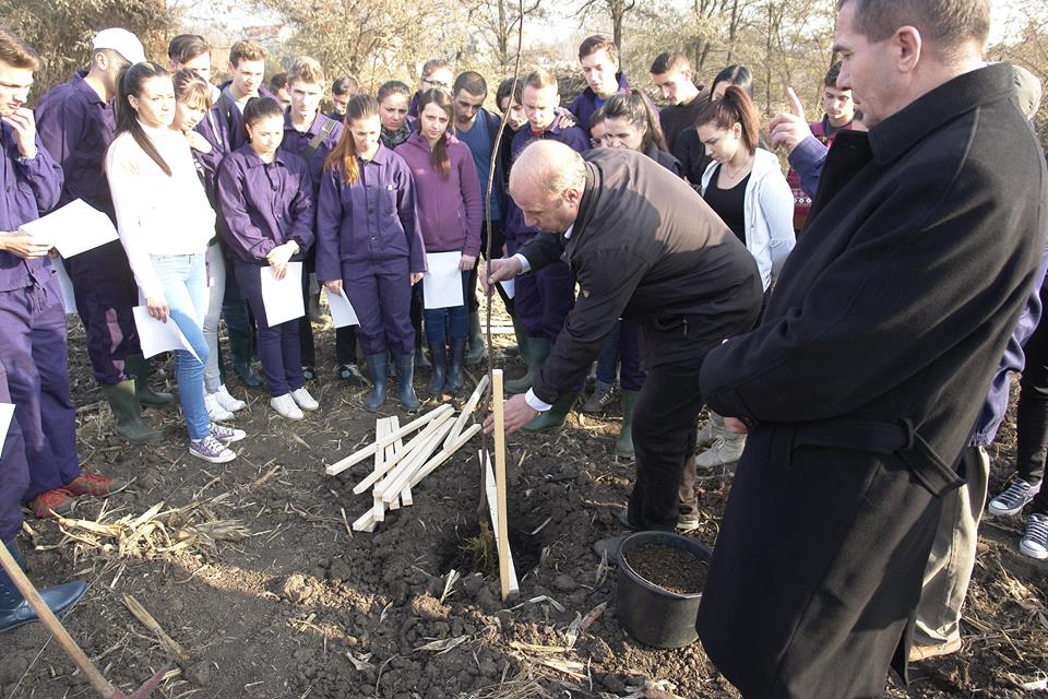 Pomi fructiferi plantați la ferma Adamachi